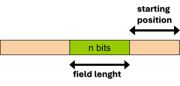 Illustration of bit field data type