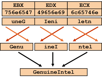 Illustration of vendor string reading by cpuid instruction