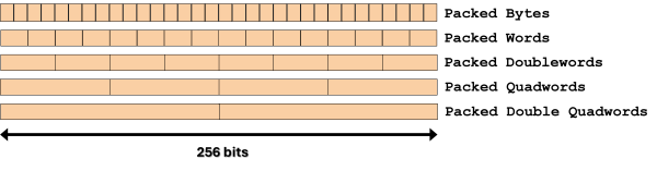Illustration of 256-bit packed integer data types