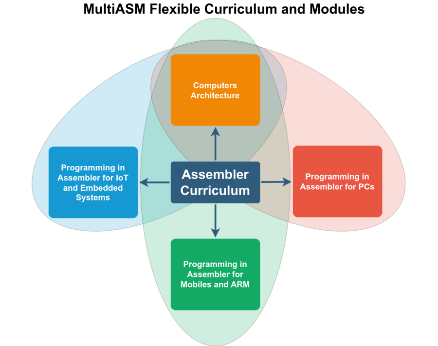 multiasm_curriculum_modules.drawio.png