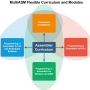 multiasm_curriculum_modules.drawio.png